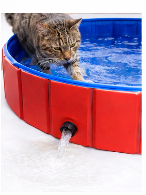 Piscina Resistente para Perros 80x20 cm